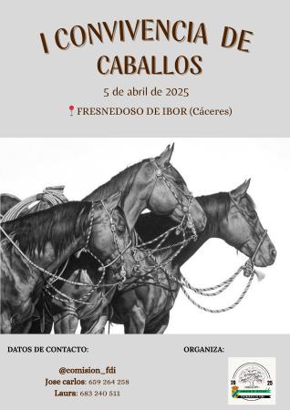 Imagen I Convivencia de caballos.
